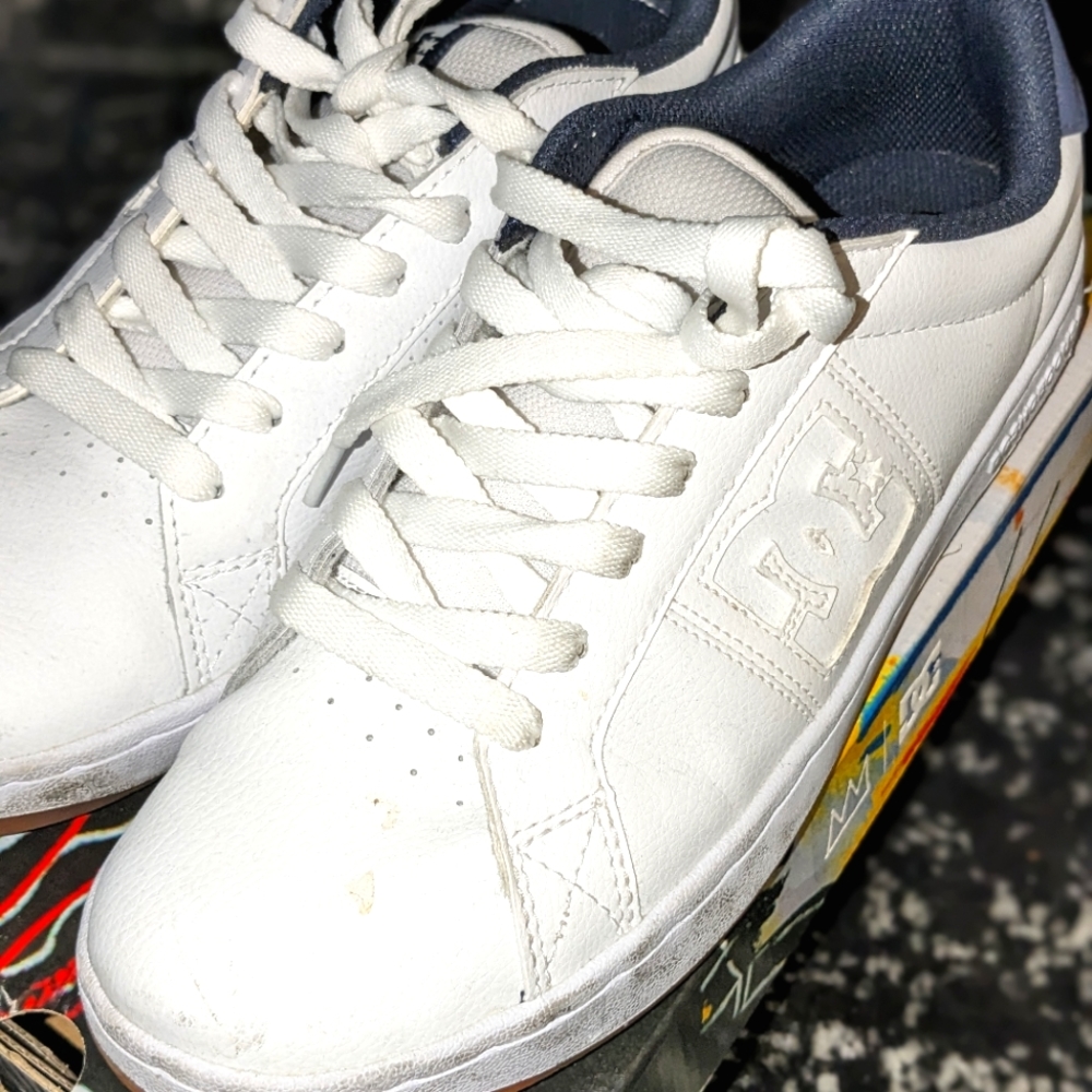 DC men's striker shoes